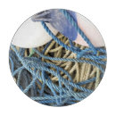 Recherche de crabe planches à découper Pêche