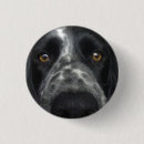 Search for dog face buttons Nose