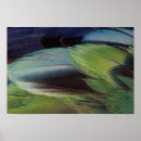 Search for parrot design posters Nature