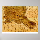 Search for platypus art Mammal