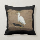 Search for white egret Elegant