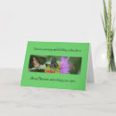 Search for flying insects cards Butterfly