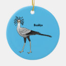 Search for secretary ornaments Sagittarius serpentarius