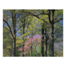 Recherche de environs posters Kentucky