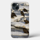 Recherche de faune ipad coques Alaska