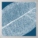 Search for ficus posters Leaf
