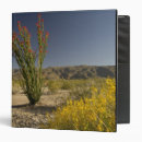 Search for ecology binders Colour