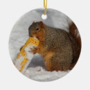 Search for corn ornaments Cute