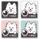 Search for records bumper stickers Dash