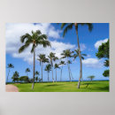 Search for coconut posters Hawaii