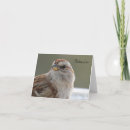 Search for beautiful blank cards Nature