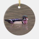 Search for wood duck ornaments Nature