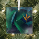 Search for birds of paradise ornaments Nature