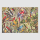 Search for parrot tissue paper Decoupage