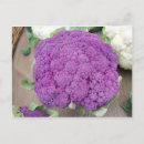 Recherche de chou fleur cartes postales Nourriture