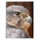 Recherche de faucons carnets Oiseau de proie