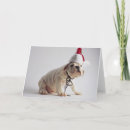 Search for cap christmas cards Animal