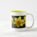 Recherche de jonquilles tasses Lumineux