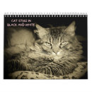 Search for black cat calendars Photography