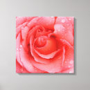 Search for drop canvas prints Flower