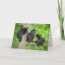 Search for boreal forest postcards Animals in the wild