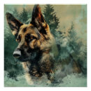 Recherche de bergère posters Animal