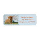 Search for orange cat return address labels Kitten