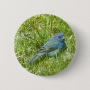 Search for indigo buttons Bird