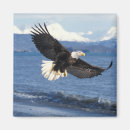 Recherche de de homer magnets Faune