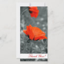Search for rain cards invites Poppy