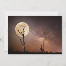 Search for desert bird cards Star
