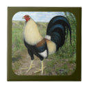 Recherche de combat carreaux Coq