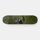 Recherche de peacock skateboards Paon