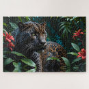 Search for melanistic Big cats