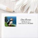 Search for puffin return address labels Wildlife