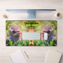 Search for cedar electronics Bird