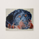 Recherche de rottweiler puzzles Chiot
