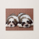 Recherche de partie du corps puzzles Horizontal