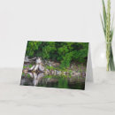 Search for tree stump cards Lake