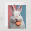 Search for snack postcards Pet