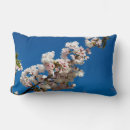 Recherche de fleurs de sakura coussins Bleu