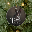 Recherche de amour animaux articles Pour animaux