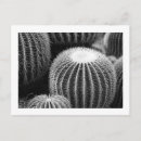 Search for black and white abstract art postcards Nature