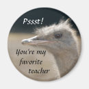 Recherche de enseignez magnets Professeur