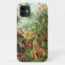 Search for ernst haeckel iphone cases Science