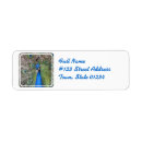 Search for peacock bird return address labels Birds