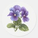 Search for pansy flowers stickers Blue