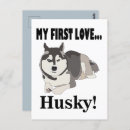 Search for husky dogs postcards Funny
