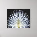 Recherche de paon art Noir et blanc