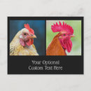 Recherche de poulet cartes postales Coq